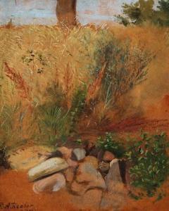 FISCHER Philip August 1817-1907,Landscape with stones and plants,1844,Bruun Rasmussen DK 2020-11-16