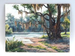 FISCHER Ulrich W 1887-1970,Big Live Oak, Florida,Burchard US 2021-07-18