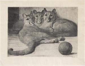 FISCHER Vilhelm Theodor 1857-1928,Drei liegende Pumas,1907,Galerie Bassenge DE 2023-06-07