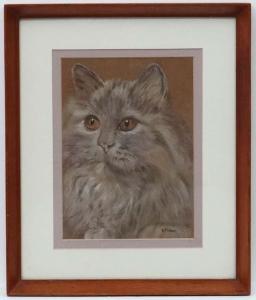 FISHER B 1900,Persian Cat,Dickins GB 2016-12-02