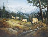 FISHER BARBARA 1900,Untitled - Herd of Elk,Levis CA 2015-11-08
