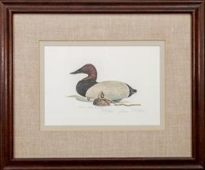 FISHER James P 1950,Canvasback Decoy,1977,Stair Galleries US 2016-10-07