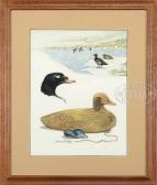 FISHER James P 1950,DUCKS & DECOYS,James D. Julia US 2017-02-09