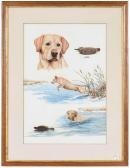 FISHER James P 1950,Yellow Labrador,20th century,Brunk Auctions US 2021-09-09