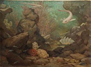 FISHER Stefani Melton 1894,Underwater view with assorted fish,Reeman Dansie GB 2014-08-06