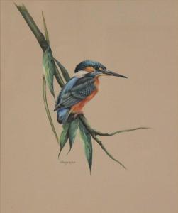 FITZGERALD John Austen 1823-1906,Kingfisher,Gilding's GB 2024-01-04