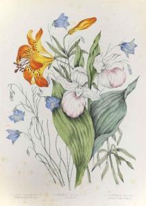 FITZGIBBON Agnes,Canadian Wild Flowers,1868,Christie's GB 2015-04-01