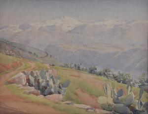 FIZELLE Reg. C. Graham, Rah 1891-1964,Sierra Nevada, Mexico,Elder Fine Art AU 2018-06-17