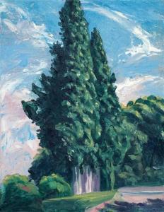 FLASH Shalom 1948,Cypress tree,2008,Matsa IL 2013-06-23