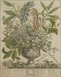 FLETCHER Henry 1715-1744,TWELVE MONTHS OF FLOWERS,Sworders GB 2015-09-15