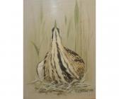 FLOOD Rex Grattan 1928-2009,Bittern,1971,Keys GB 2014-09-05