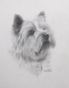 FLOOD Rex Grattan 1928-2009,Cairn Terrier,Ro Gallery US 2021-05-27