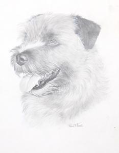 FLOOD Rex Grattan 1928-2009,Norfolk Terrier,Ro Gallery US 2021-05-27