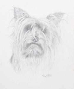 FLOOD Rex Grattan 1928-2009,Yorkshire Terrier,Ro Gallery US 2021-05-27
