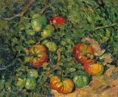 FLORES LLano 1800-1900,LES TOMATES,Pillon FR 2007-10-28