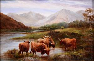 FLORY J.H,Highland Cattle,Mellors & Kirk GB 2022-02-08