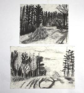FOA Maryclare,Forest Drawing, Near View,1996,Simon Chorley Art & Antiques GB 2017-05-23