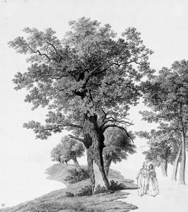 FOLLERWEDER Rodolf 1774-1847,A wooded lake with an elegant couple walking,Christie's GB 2000-12-15