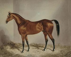 FONSECA John Joseph 1800-1800,Bangalore, india, horse in a stable; horse in a la,Bonhams 2005-05-10