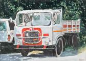 FONTANA MICHELE 1965,Vecchio camion,Trionfante IT 2016-10-06