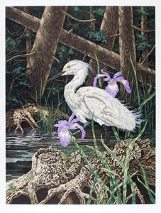 FORREST Christopher P 1946,Snowy Egret,1980,Ro Gallery US 2011-02-03