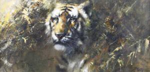 FORREST Tony 1961,Study of a Tiger,Tooveys Auction GB 2023-09-06