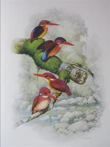 FORSHAW Joseph M,Kingfishers and related birds,1983,Lyon & Turnbull GB 2013-01-16