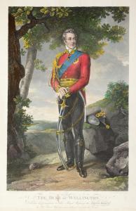 forster francois 1790-1872,The Duke of Wellington,1818,Leipzig DE 2015-09-19