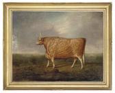 FORSTER Joseph Wilson 1889-1916,A prize longhorned bull,Christie's GB 2009-01-06