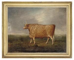 FORSTER Joseph Wilson 1889-1916,A prize longhorned bull,Christie's GB 2009-01-06