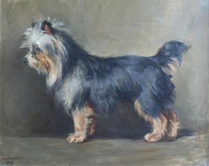 FOSTER M.C 1908,A YORKSHIRE TERRIER,1908,Lawrences GB 2013-10-18