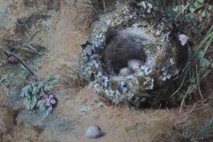 FOSTER W,a birds nest,19th century,Reeman Dansie GB 2021-04-27
