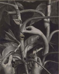 FOUCAULT MARC 1902-1985,Untitled (photomontage),1946,Christie's GB 2015-11-13