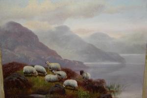 FOX J.S 1800,sheep in a Highland landscape,Lawrences of Bletchingley GB 2020-07-21