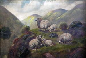 FOX John Shirley 1860-1939,sheep & cattle in Highland landscapes,Warren & Wignall GB 2022-07-20