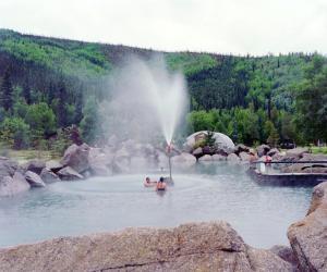 FOX Manya,Hot Springs, Fairbanks,
 Alaska,2007,Daniel Cooney Fine Art US 2009-03-26