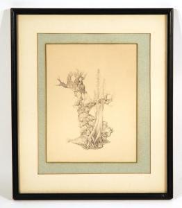FOY Grey 1900-1900,Surreal Botanical Figural Study,Ruggiero Associates US 2011-11-09