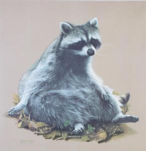 FRACÉ Charles 1926-2005,raccoon on pile of leaves,Wickliff & Associates US 2018-07-19