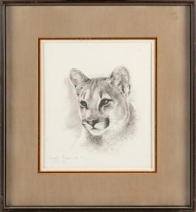 FRACÉ Charles 1926-2005,Sketch of a mountain lion,Eldred's US 2022-05-12