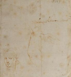 FRANCO IL SEMOLEI Giovanni Battista 1498-1561,Feuille d’’étude avec un portrait d,Millon & Associés 2016-04-01
