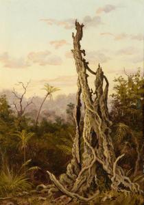 FRAZER Charles E. Gordon 1863-1899,Rata Tree, New Zealand,Bonhams GB 2012-12-06