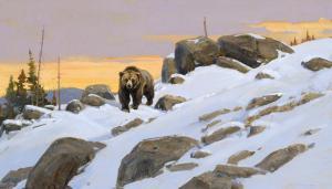 FRAZIER Luke 1970,One Sleepy Bear,2006,Jackson Hole US 2023-09-16