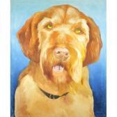 Frederickson Cliff,ginger dog,Eastbourne GB 2017-07-08