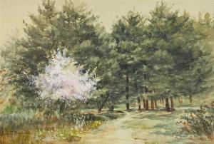 FREELAND Anna C 1837-1911,FOREST SCENE,1901,Potomack US 2014-05-03
