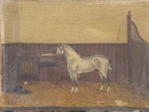 FRENCH Ed 1940,A portrait of a grey hunter in a stable,Halls GB 2008-12-12