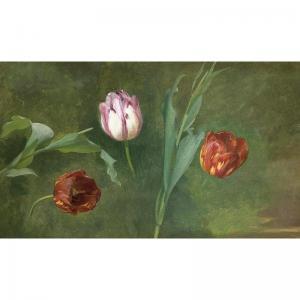 FRENCH SCHOOL,a study of three tulips,Sotheby's GB 2003-05-29