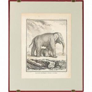 FRENCH SCHOOL,Elephant & Her Calf,c.1782,Leland Little US 2015-06-13