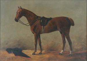 FREYTAG C,Gesatteltes Pferd,DAWO Auktionen DE 2009-07-22