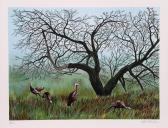FRIEDMAN Allen,Apple Tree Flock,1979,Ro Gallery US 2014-09-26