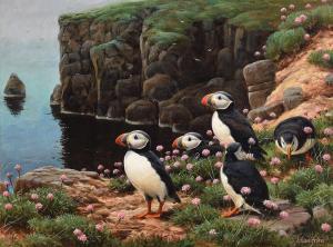 FRIERS Julian 1956,Puffins on Rathlin,Morgan O'Driscoll IE 2015-05-18